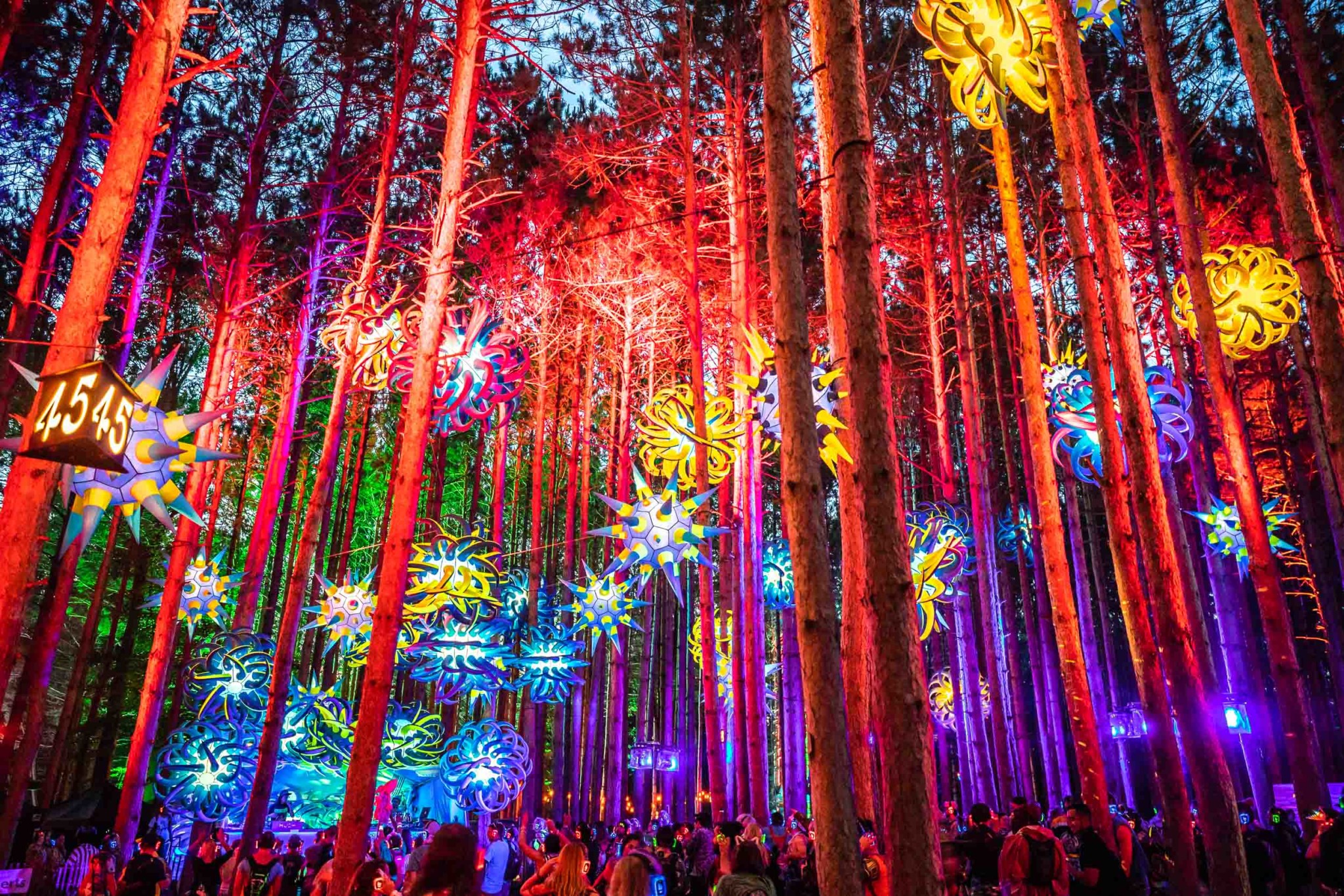 Electric Forest - Alive Coverage Photography & Video.